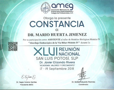 Dr. Mario Huerta Jim&eacute;nez